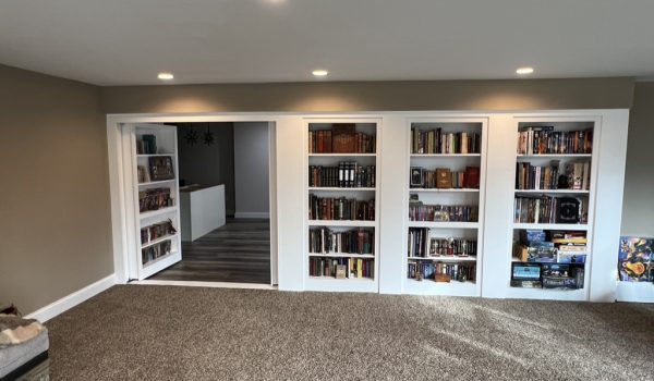 01-C7C28F2E-2F8B-4A01-A5BD-71EDCF522927_1_105_c Modern basement upgrades