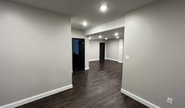 Basement Renovation Process